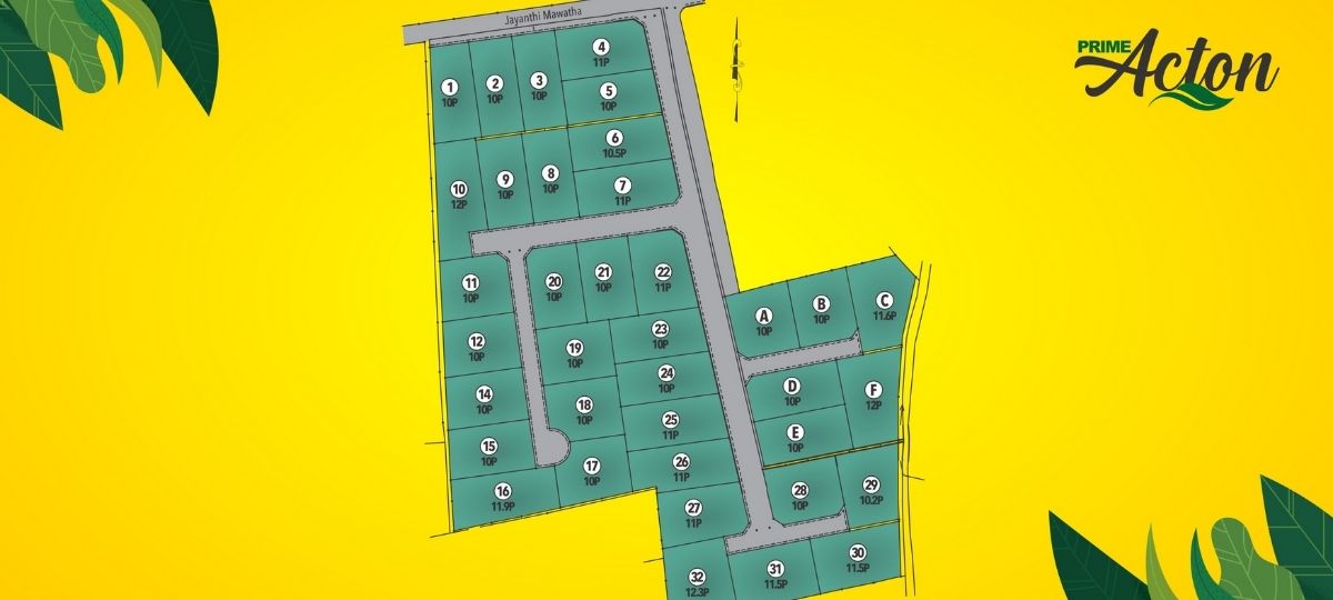 PRIME ACTON PADUKKA