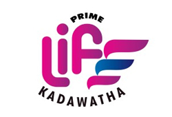 210803140812icon.jpg