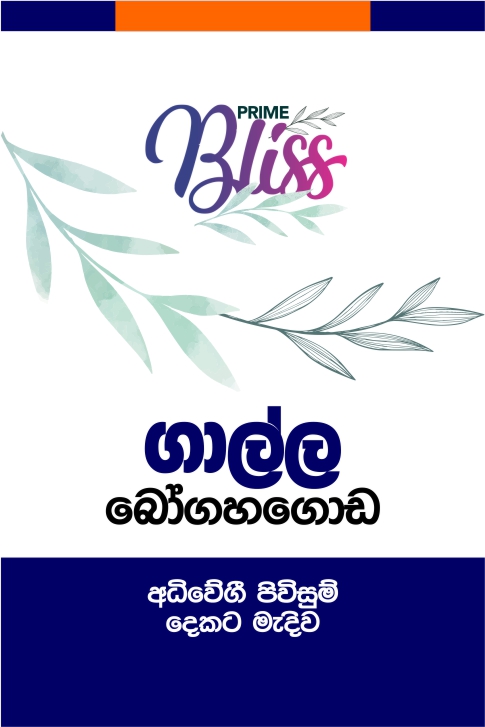 220524090523Bogahagoda_WEB_THUMB.jpg