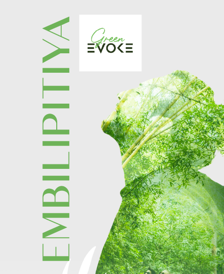 250111120109202300022A_EMBILIPITIYA_-_GREEN_EVOKE.png