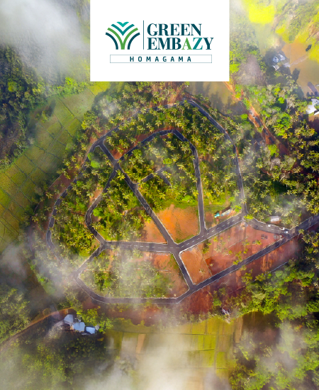 250116090151202000042A_GREEN_EMBAZY_HOMAGAMAaa.png