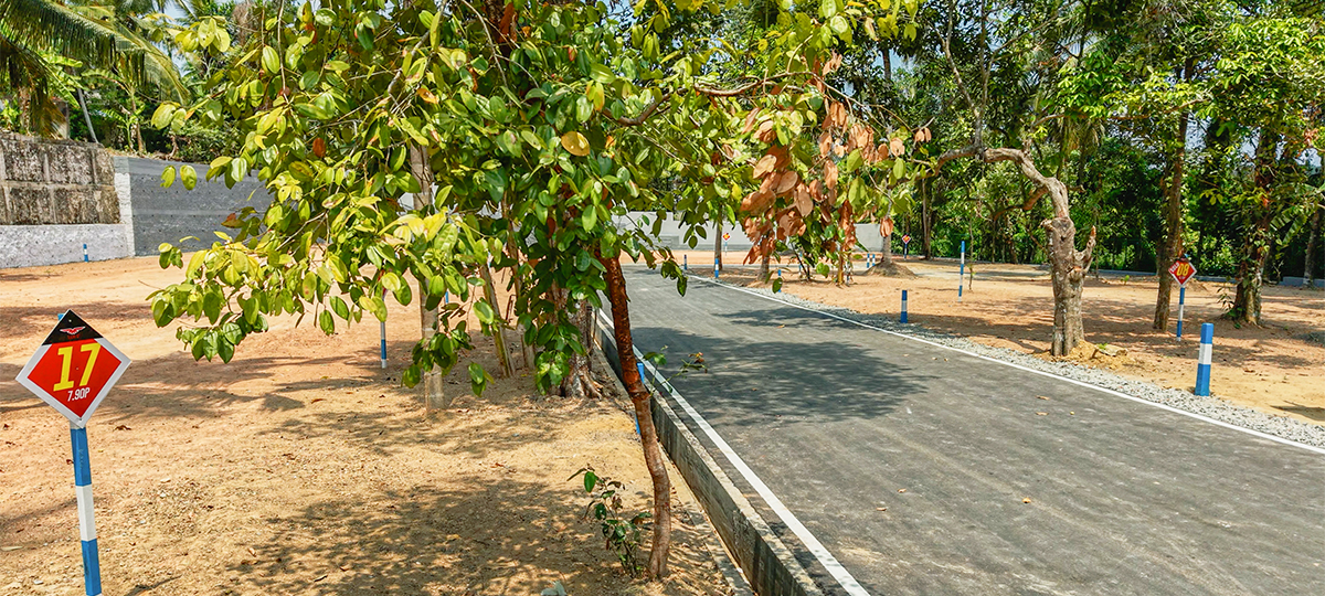 ADLER - BORALESGAMUWA