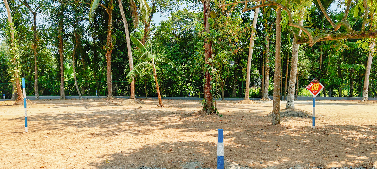 ADLER - BORALESGAMUWA