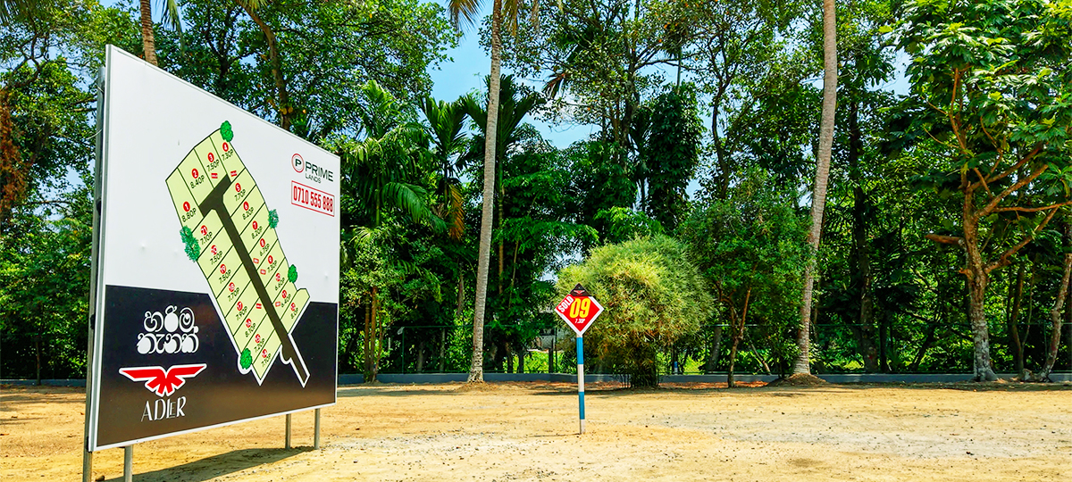 ADLER - BORALESGAMUWA