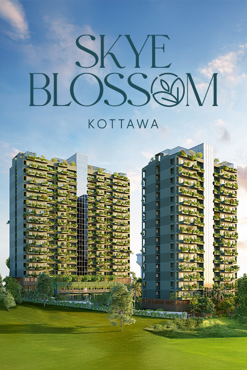 250530160543SKYE_BLOSSOM_PL_Website_Thumbnail_484x726__1_.png