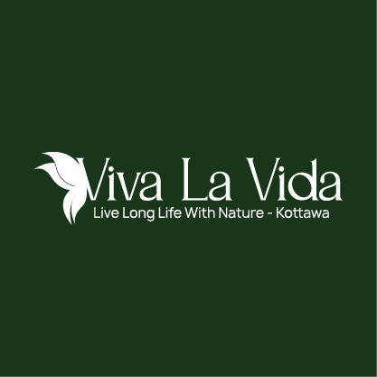 250903160938Logo_viva.jpg