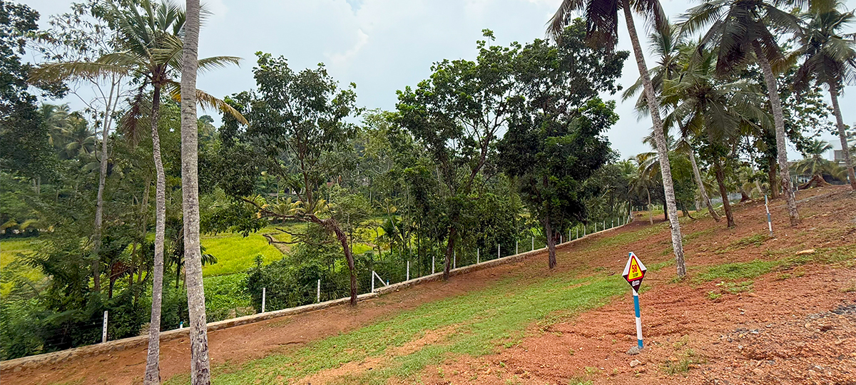 REGAL POINT - KALUTARA