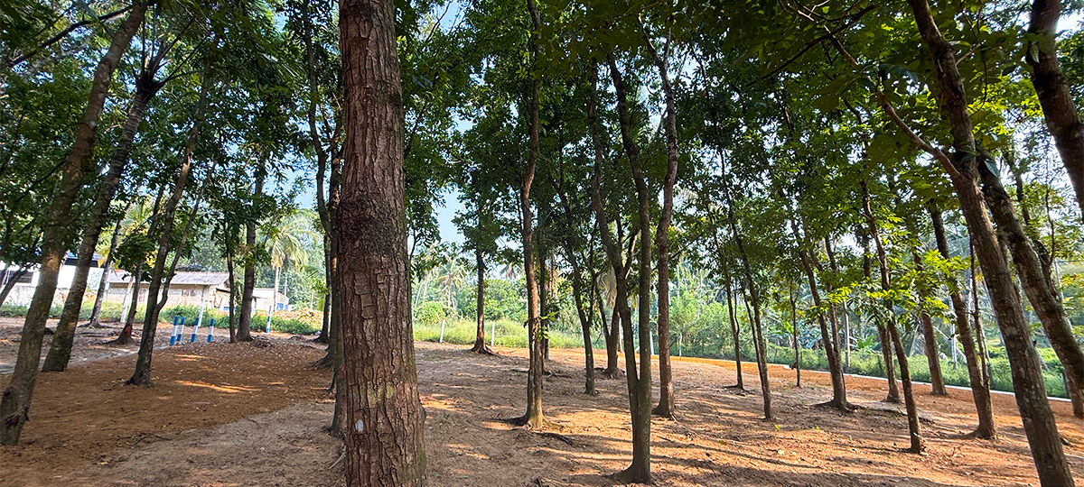 ELITE AVENUE – KAHATHUDUWA