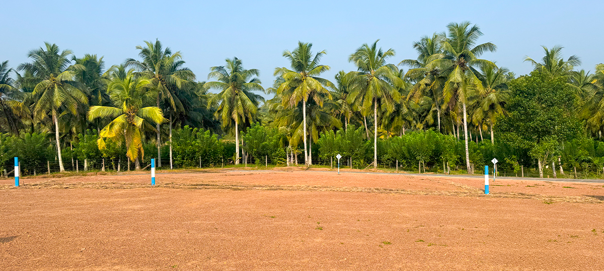 CITY LINK - KIRIWATHTHUDUWA