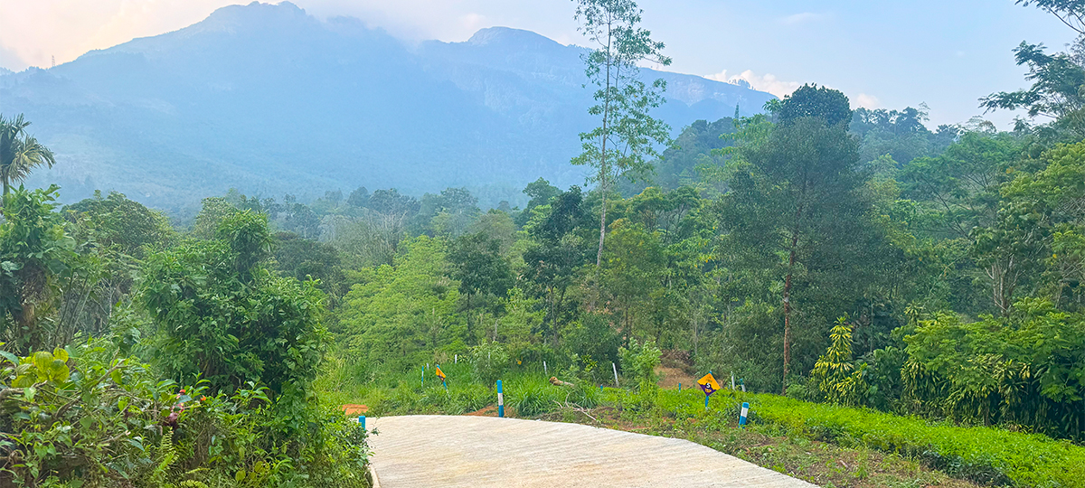 EVARA – NAWALAPITIYA