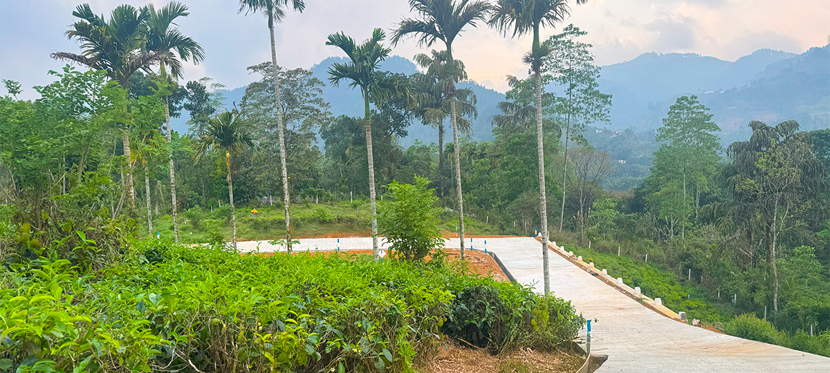 EVARA – NAWALAPITIYA