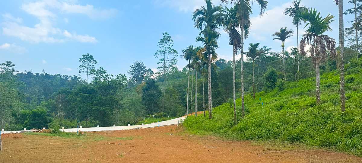 EVARA – NAWALAPITIYA