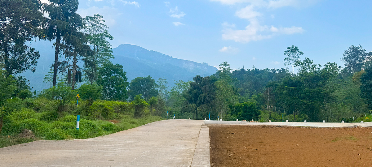 EVARA – NAWALAPITIYA