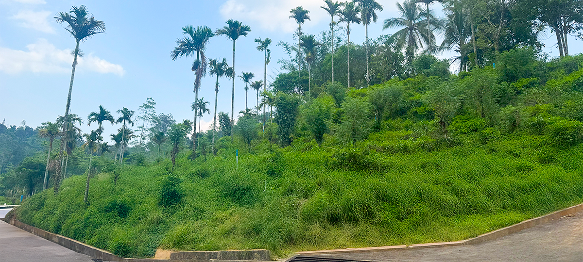 EVARA – NAWALAPITIYA