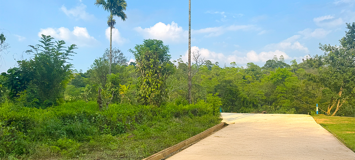 EVARA – NAWALAPITIYA