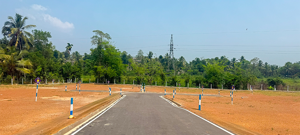 AURELIA – ALUBOMULLA