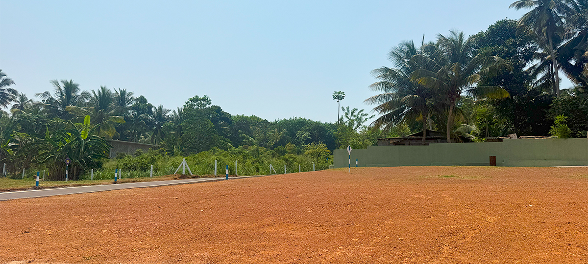 AURELIA – ALUBOMULLA