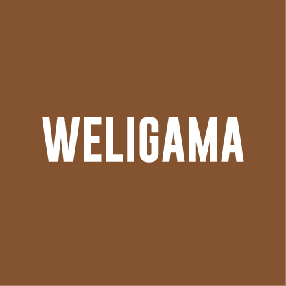 260403230436bulk_LOGO__WELIGAMA.jpg