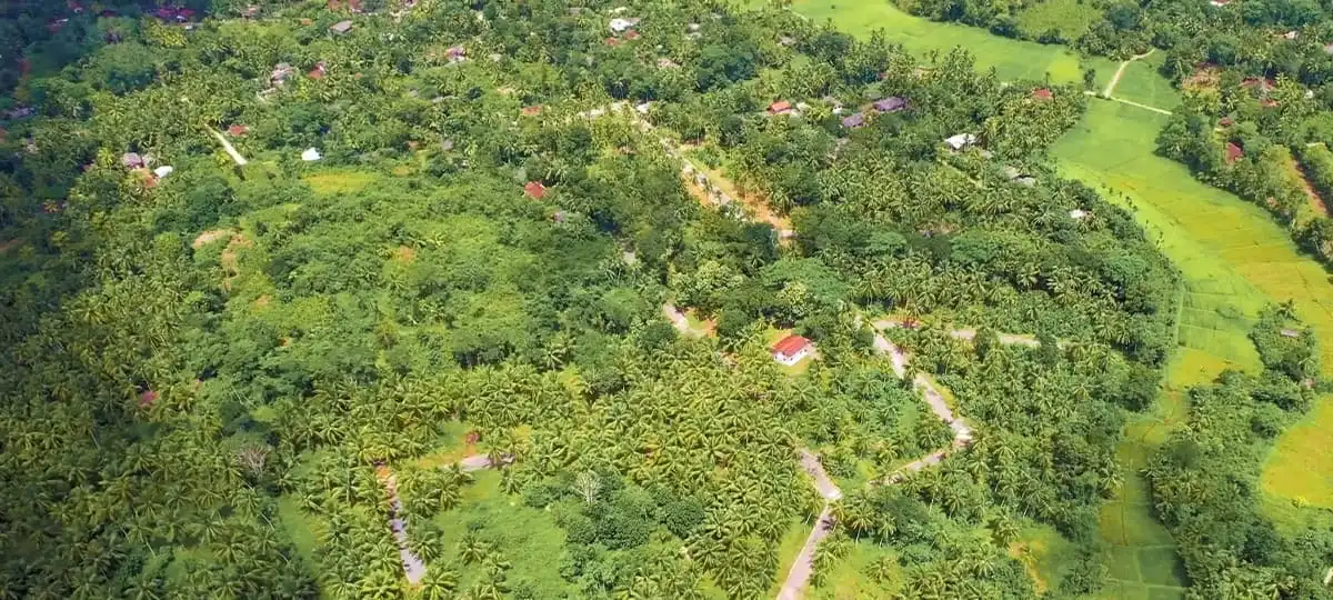 260526140518BANDARAGAMA_-_GREEN_PARADISE_1200x540_31012025.webp