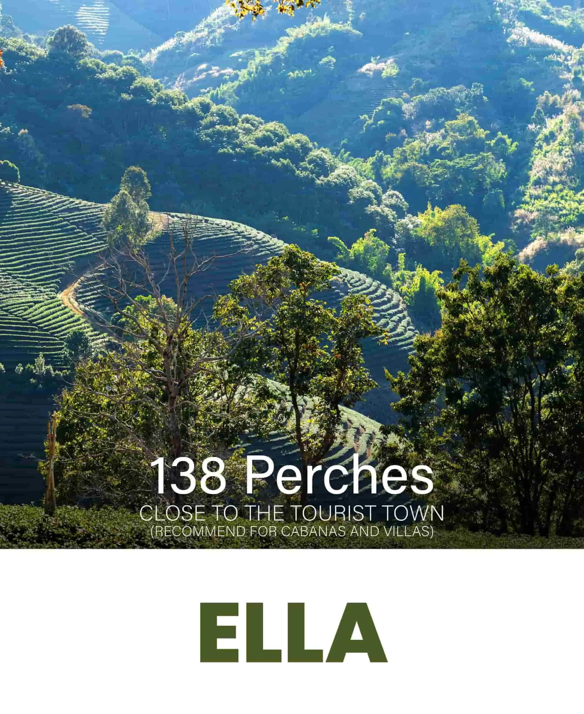 ELLA - NUWARA ELIYA