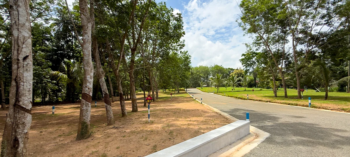 NATURE BREEZE - DIVULAPITIYA