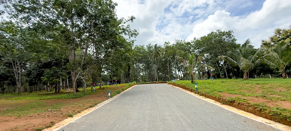 NATURE BREEZE - DIVULAPITIYA