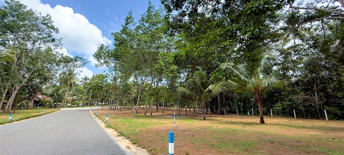 NATURE BREEZE - DIVULAPITIYA