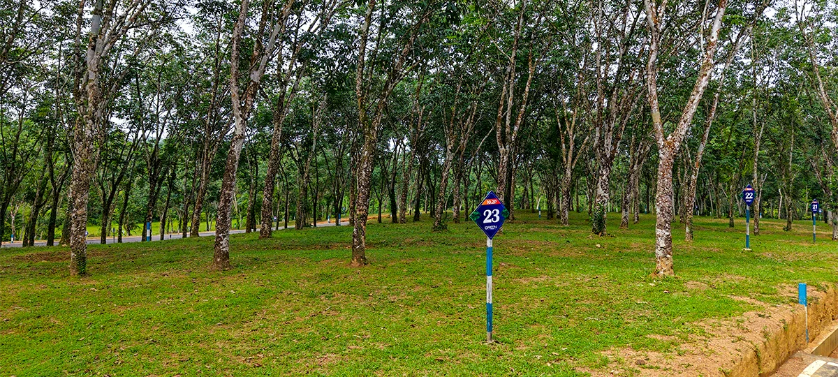 GREEN CREST – HORANA