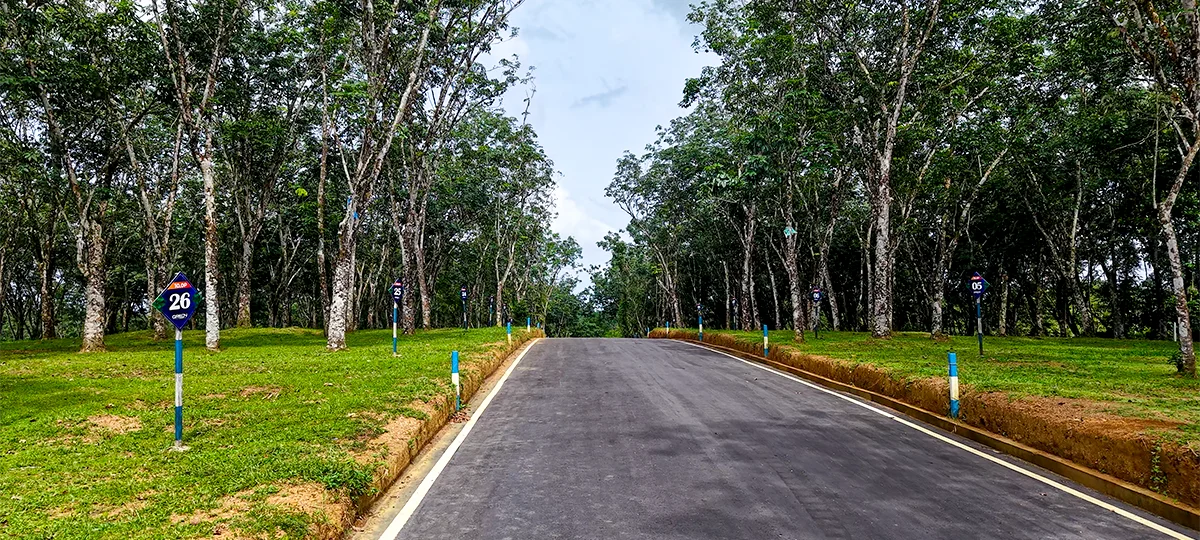 GREEN CREST – HORANA