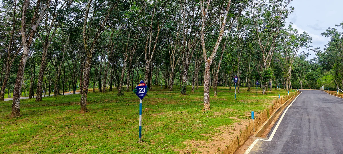 GREEN CREST – HORANA