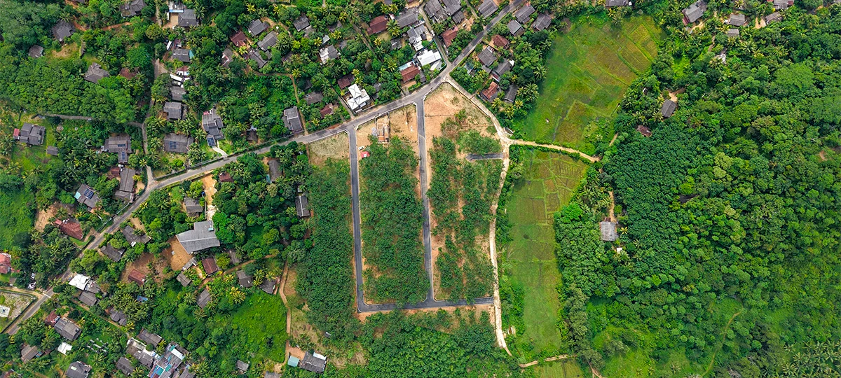 GREEN CREST – HORANA