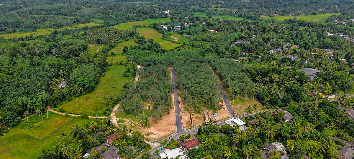 GREEN CREST – HORANA