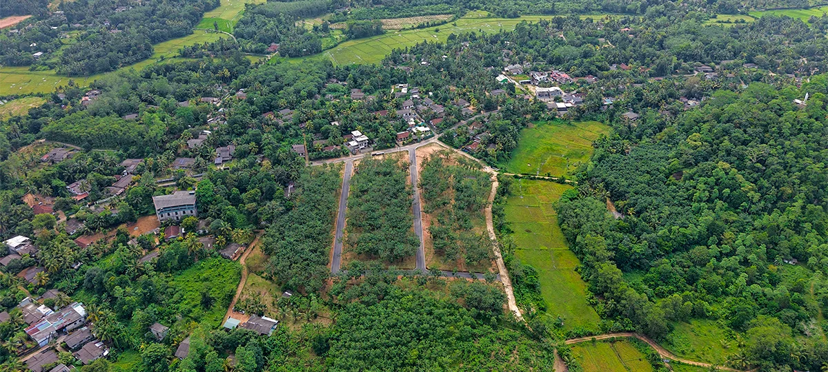 GREEN CREST – HORANA