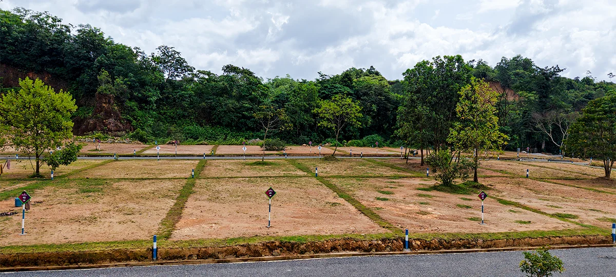 GREENOVA - BERUKATIYA