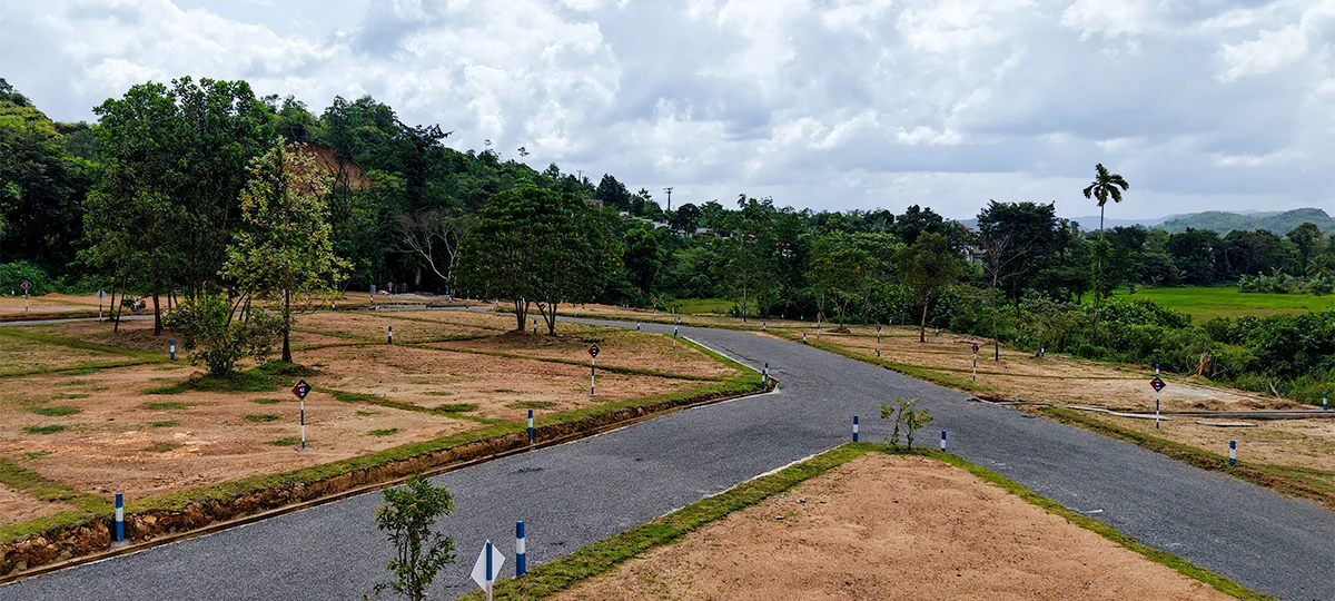 GREENOVA - BERUKATIYA