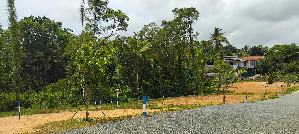 ELISORA - KALUTARA