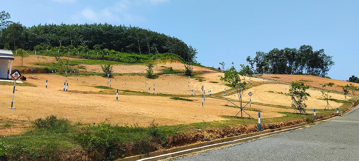 ELISORA - KALUTARA