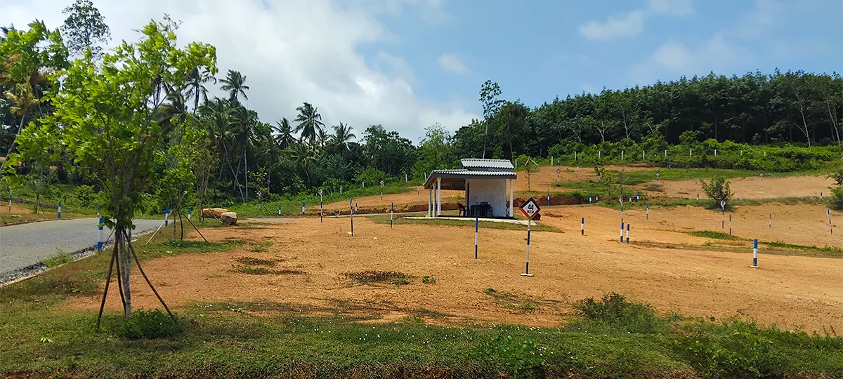 ELISORA - KALUTARA