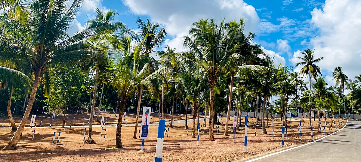 GRACE FIELD GARDEN - KADANA