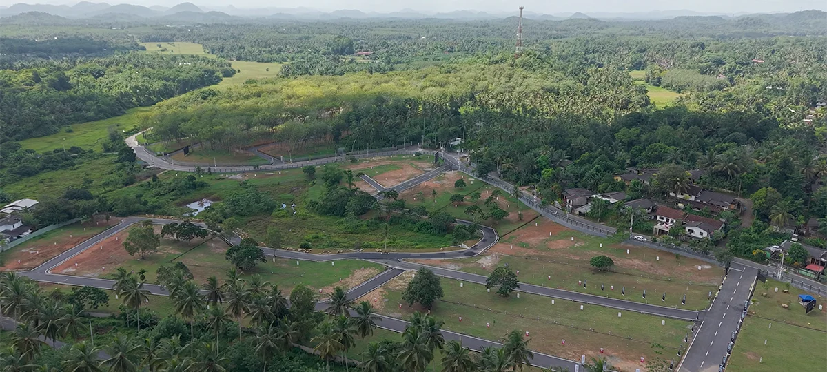 PLATINUM GROVE - BERUKETIYA
