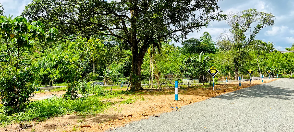 GOLDEN CITY - AMBALANGODA