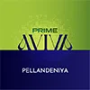 261010081002PRIME_AVIVA_-_Pellandeniya___Logo_PL_PD_PE_100x100.webp